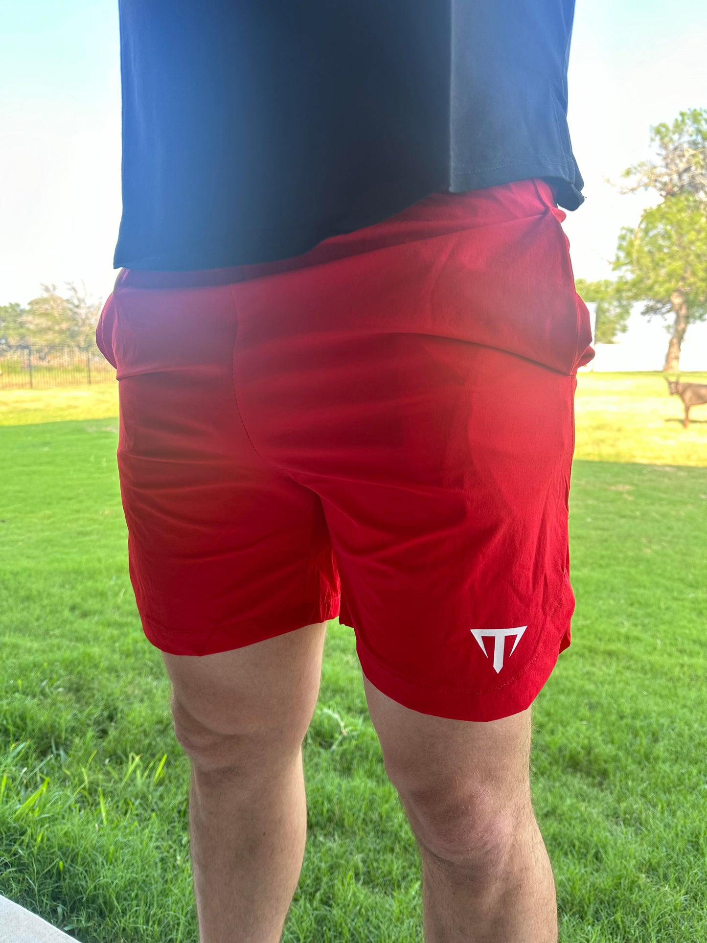 Vortex Unisex Shorts